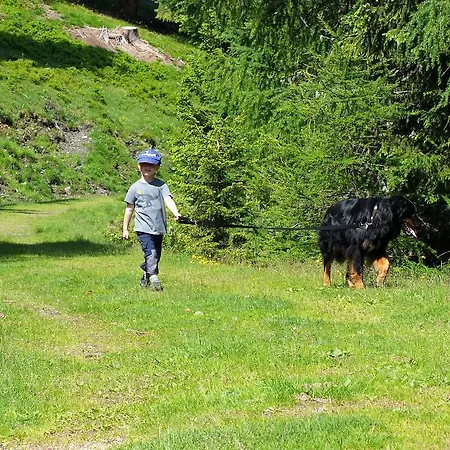 Kleine Koch 3* Krems in Kaernten