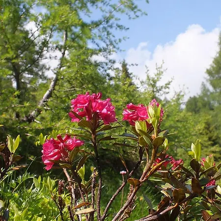 Das Kleine Familienhotel Koch