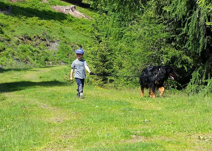 Das Kleine Familienhotel Koch 3* Айзентраттен